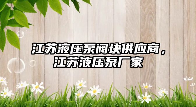 江蘇液壓泵閥塊供應(yīng)商，江蘇液壓泵廠家