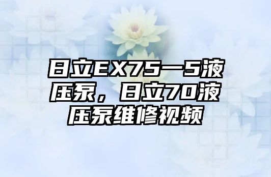 日立EX75一5液壓泵，日立70液壓泵維修視頻