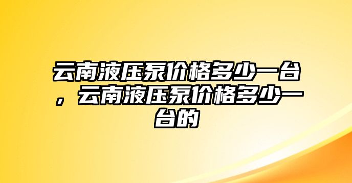 云南液壓泵價(jià)格多少一臺(tái)，云南液壓泵價(jià)格多少一臺(tái)的