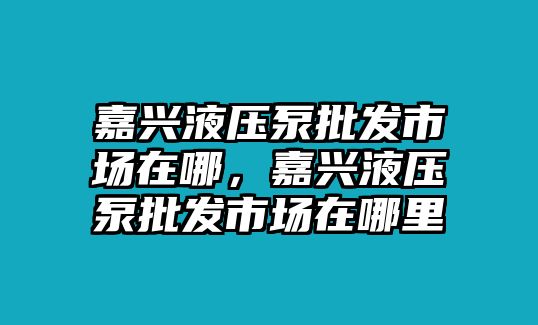 嘉興液壓泵批發(fā)市場(chǎng)在哪，嘉興液壓泵批發(fā)市場(chǎng)在哪里