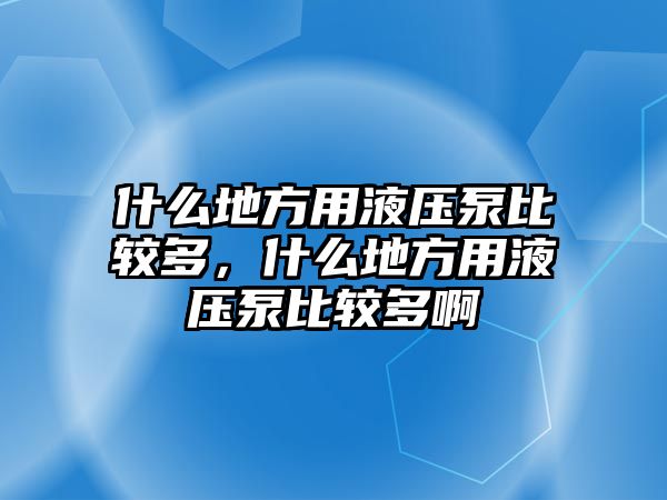 什么地方用液壓泵比較多，什么地方用液壓泵比較多啊