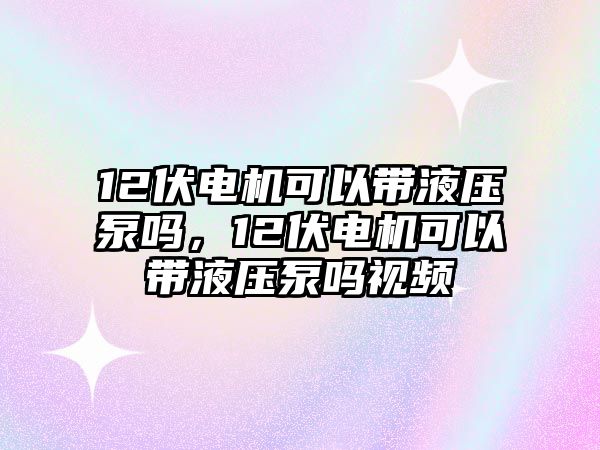 12伏電機可以帶液壓泵嗎，12伏電機可以帶液壓泵嗎視頻