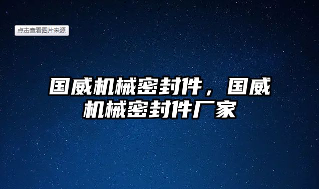 國威機械密封件，國威機械密封件廠家