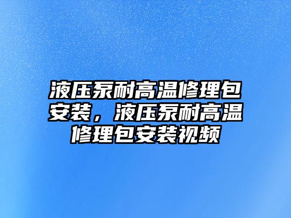 液壓泵耐高溫修理包安裝，液壓泵耐高溫修理包安裝視頻