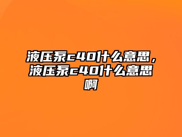 液壓泵c40什么意思，液壓泵c40什么意思啊