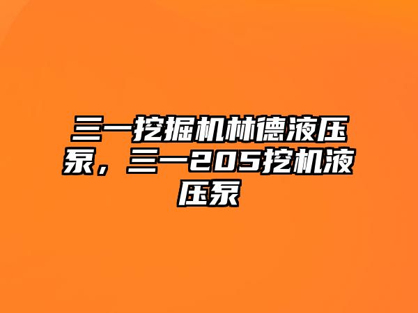 三一挖掘機(jī)林德液壓泵，三一205挖機(jī)液壓泵