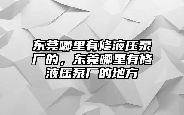 東莞哪里有修液壓泵廠的，東莞哪里有修液壓泵廠的地方