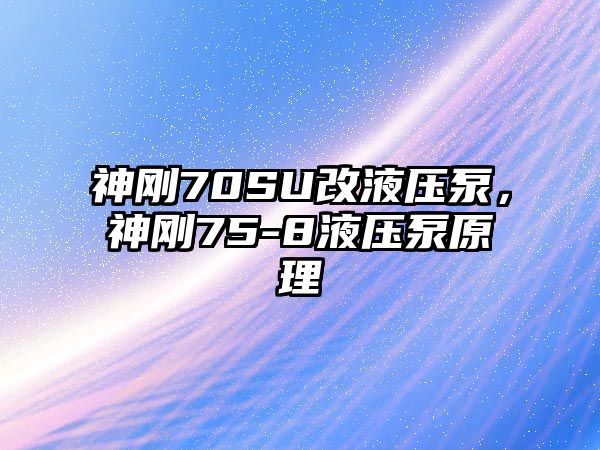 神剛70SU改液壓泵，神剛75-8液壓泵原理