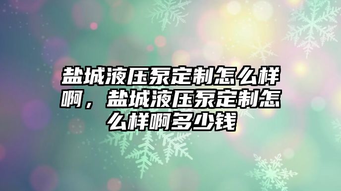 鹽城液壓泵定制怎么樣啊，鹽城液壓泵定制怎么樣啊多少錢