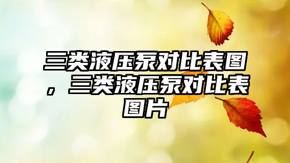 三類液壓泵對(duì)比表圖，三類液壓泵對(duì)比表圖片