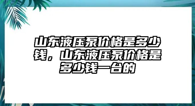 山東液壓泵價(jià)格是多少錢，山東液壓泵價(jià)格是多少錢一臺(tái)的