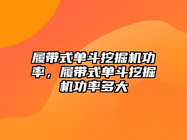 履帶式單斗挖掘機(jī)功率，履帶式單斗挖掘機(jī)功率多大