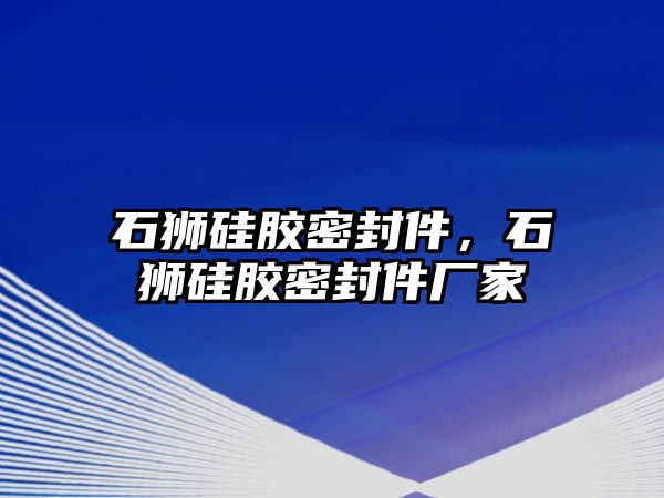 石獅硅膠密封件，石獅硅膠密封件廠家