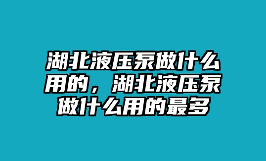 湖北液壓泵做什么用的，湖北液壓泵做什么用的最多