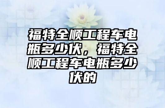 福特全順工程車電瓶多少伏，福特全順工程車電瓶多少伏的