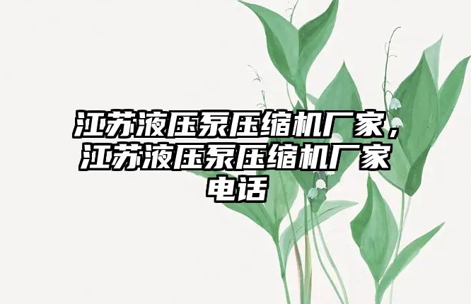 江蘇液壓泵壓縮機廠家，江蘇液壓泵壓縮機廠家電話