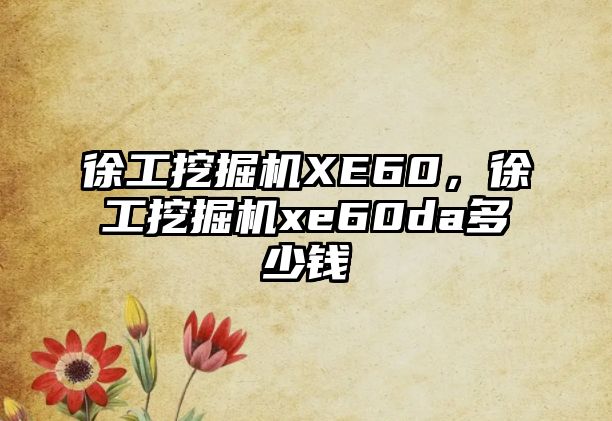 徐工挖掘機XE60，徐工挖掘機xe60da多少錢