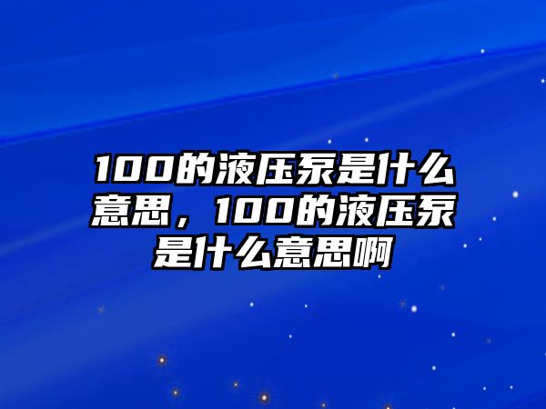 100的液壓泵是什么意思，100的液壓泵是什么意思啊