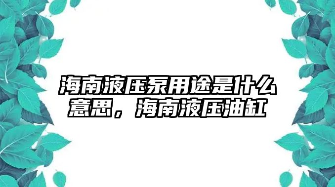 海南液壓泵用途是什么意思，海南液壓油缸