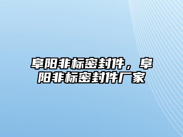 阜陽非標(biāo)密封件，阜陽非標(biāo)密封件廠家