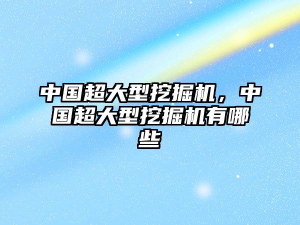 中國超大型挖掘機，中國超大型挖掘機有哪些