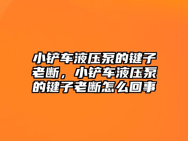 小鏟車液壓泵的鍵子老斷，小鏟車液壓泵的鍵子老斷怎么回事