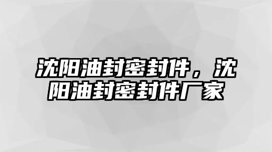 沈陽油封密封件，沈陽油封密封件廠家