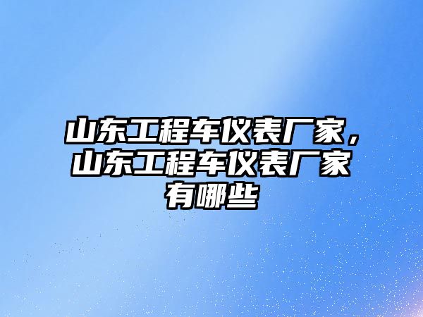 山東工程車儀表廠家，山東工程車儀表廠家有哪些