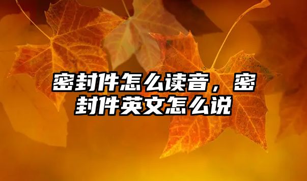 密封件怎么讀音，密封件英文怎么說