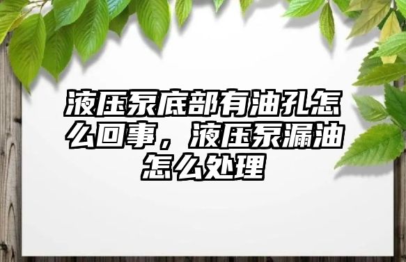 液壓泵底部有油孔怎么回事，液壓泵漏油怎么處理