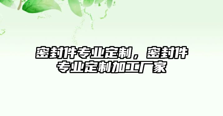 密封件專業(yè)定制，密封件專業(yè)定制加工廠家