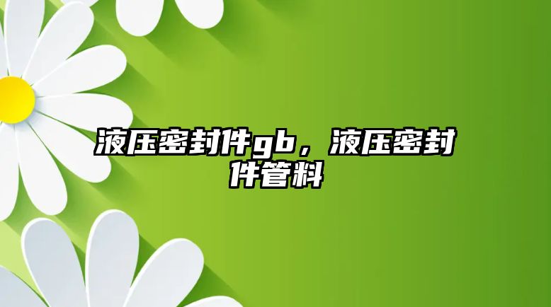 液壓密封件gb，液壓密封件管料