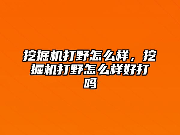 挖掘機打野怎么樣，挖掘機打野怎么樣好打嗎