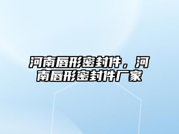 河南唇形密封件，河南唇形密封件廠家