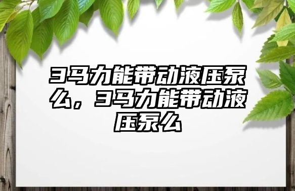 3馬力能帶動液壓泵么，3馬力能帶動液壓泵么