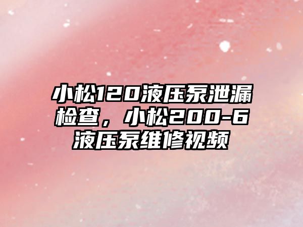 小松120液壓泵泄漏檢查，小松200-6液壓泵維修視頻