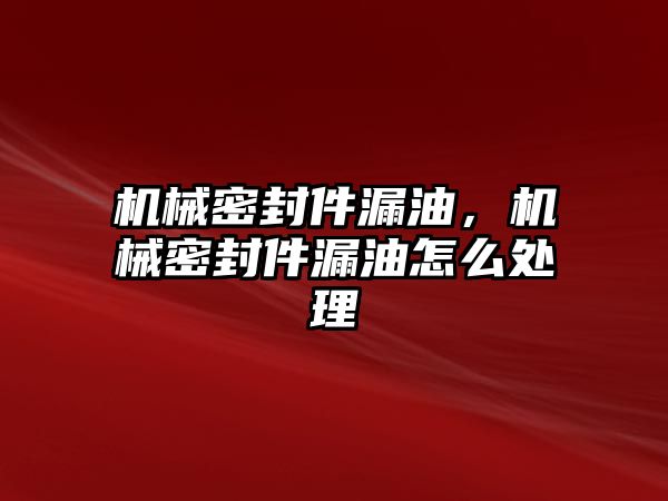 機械密封件漏油，機械密封件漏油怎么處理