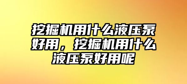 挖掘機(jī)用什么液壓泵好用，挖掘機(jī)用什么液壓泵好用呢