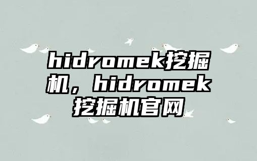 hidromek挖掘機，hidromek挖掘機官網(wǎng)