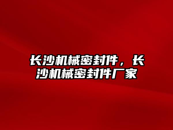 長沙機械密封件，長沙機械密封件廠家