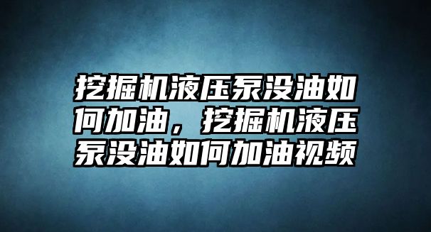 挖掘機(jī)液壓泵沒油如何加油，挖掘機(jī)液壓泵沒油如何加油視頻