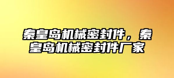 秦皇島機械密封件，秦皇島機械密封件廠家