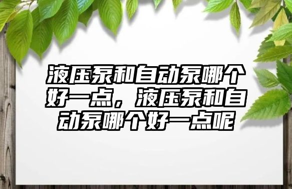 液壓泵和自動泵哪個好一點，液壓泵和自動泵哪個好一點呢