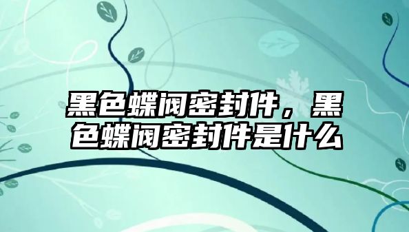 黑色蝶閥密封件，黑色蝶閥密封件是什么