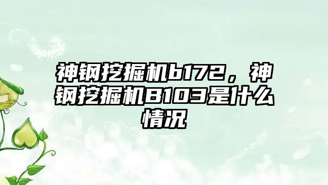 神鋼挖掘機b172，神鋼挖掘機B103是什么情況