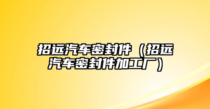 招遠汽車密封件（招遠汽車密封件加工廠）