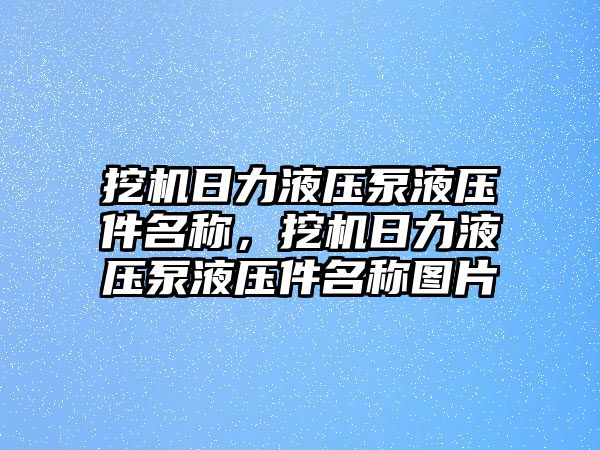 挖機(jī)日力液壓泵液壓件名稱(chēng)，挖機(jī)日力液壓泵液壓件名稱(chēng)圖片