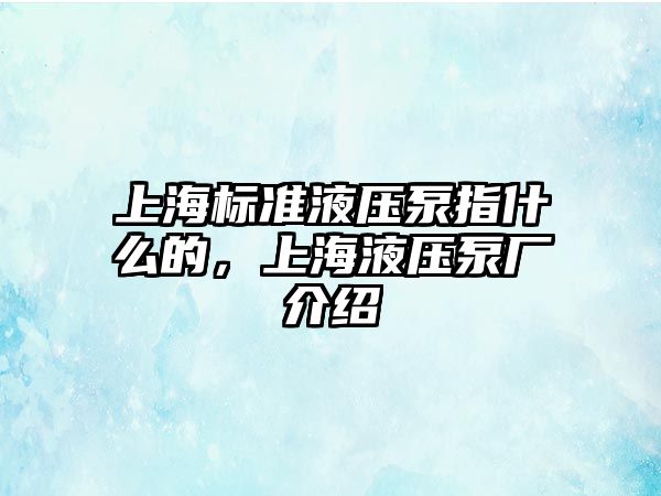 上海標(biāo)準(zhǔn)液壓泵指什么的，上海液壓泵廠介紹